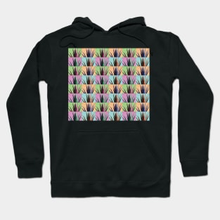 Rainbow Fronds Hoodie